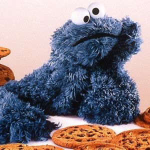 Meet your Posher, Jill